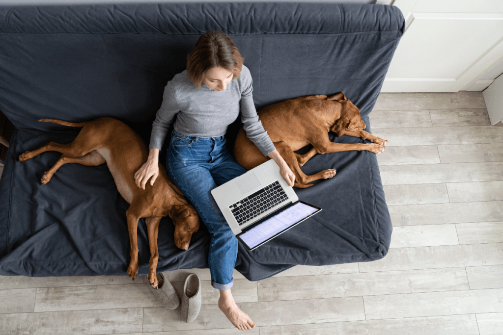 Using digital means to connect with your vet clinic community