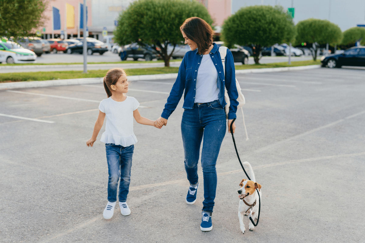 Pet owners who have used Google searches to find a new vet clinic