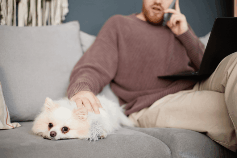 Man looking at Meta Ads booking a vet appointment