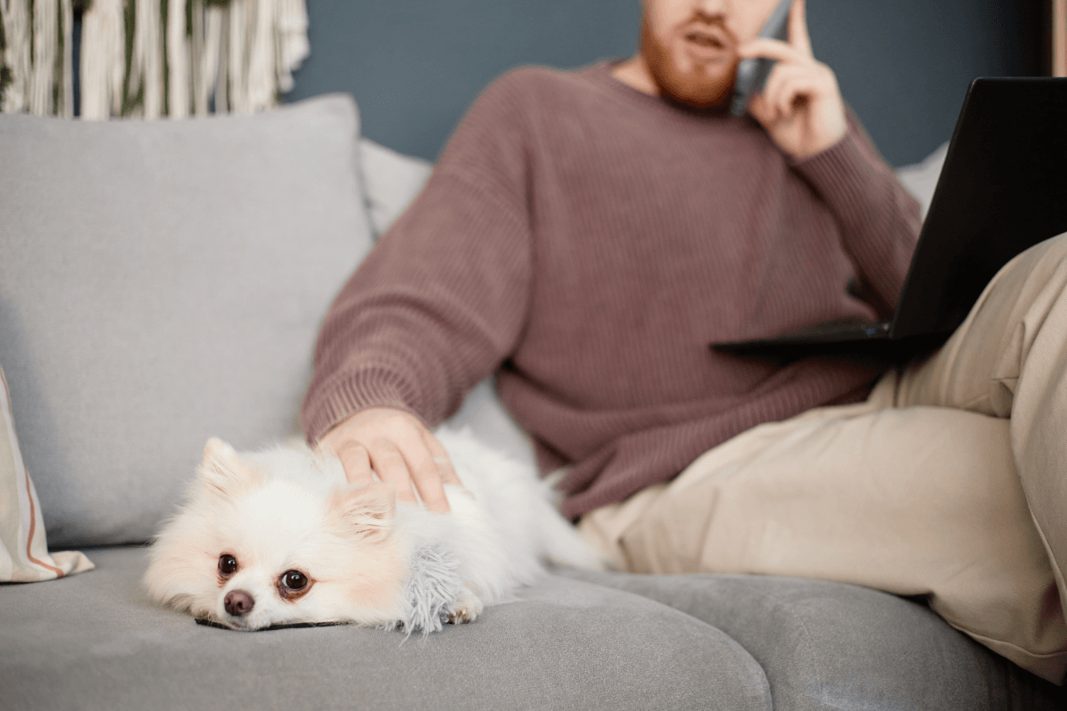 Man looking at Meta Ads booking a vet appointment
