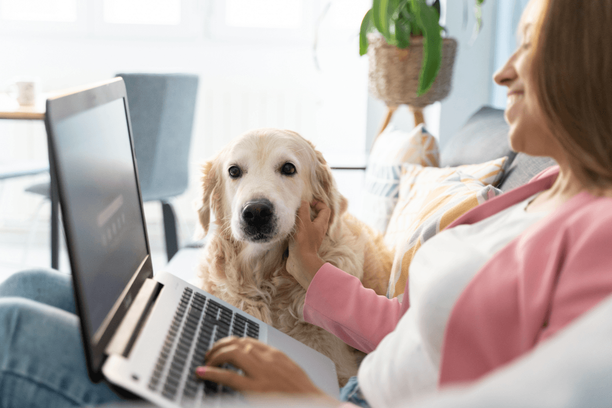 Woman using Google search to find a vet for her dog