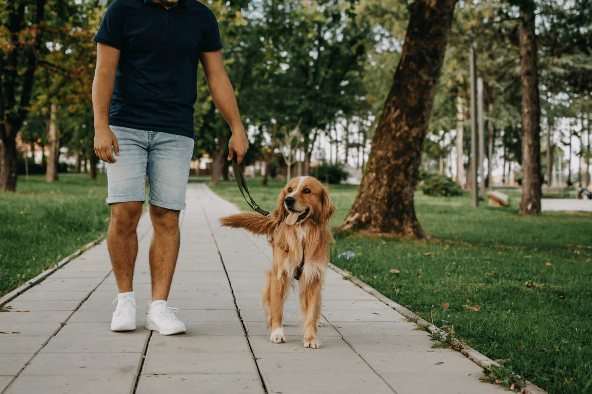 Dog owner targeted by vet clinic client growth campaign