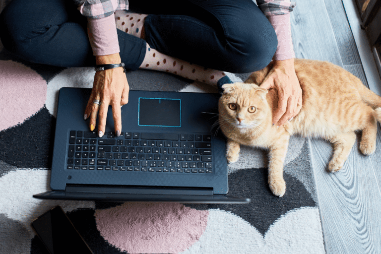 Cat owners searching for a vet clinic beyond social media